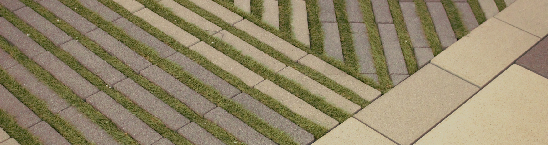 Rasenliner | Tamara Grafe Beton GmbH